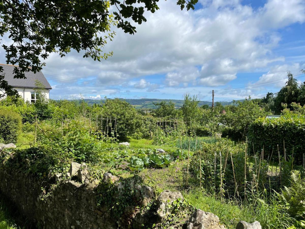 St Reatham Cottage Kilmington  المظهر الخارجي الصورة